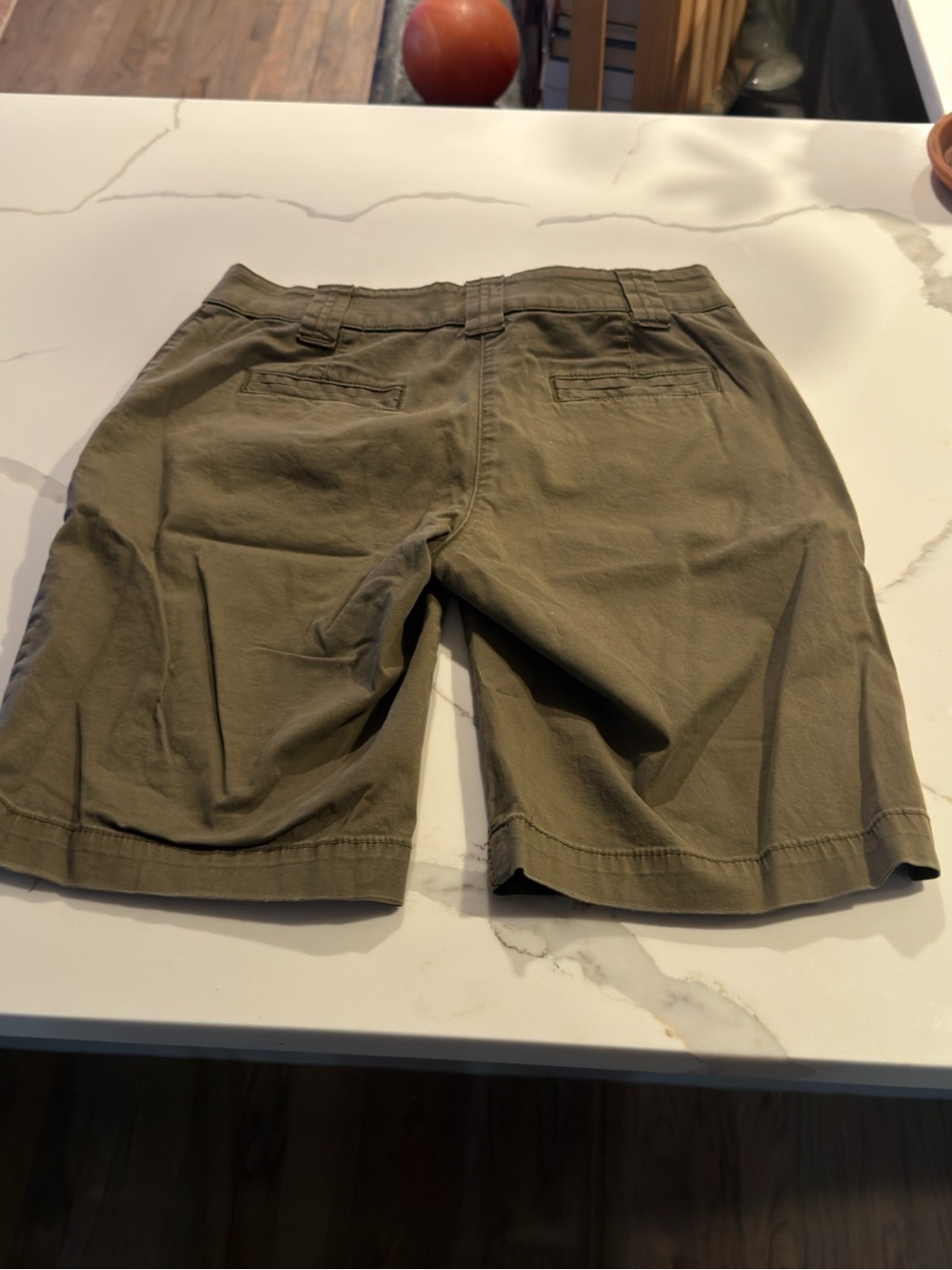 Alpine Olive Green Flat-Front Men's Shorts